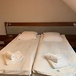 Lokis 酒店 涅兹卡城堡